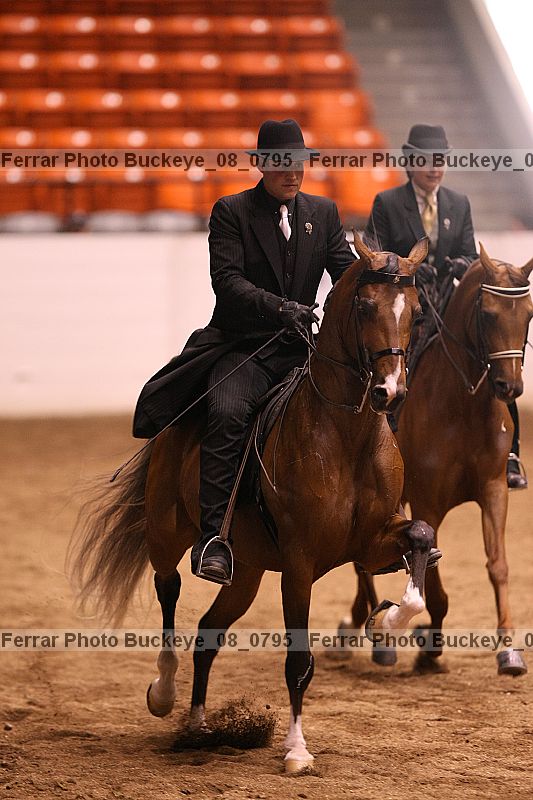 Proof buckeye_08_0795