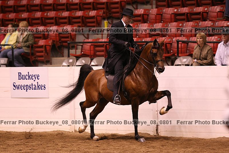 Proof buckeye_08_0801