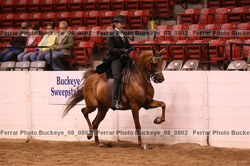 Proof buckeye_08_0802