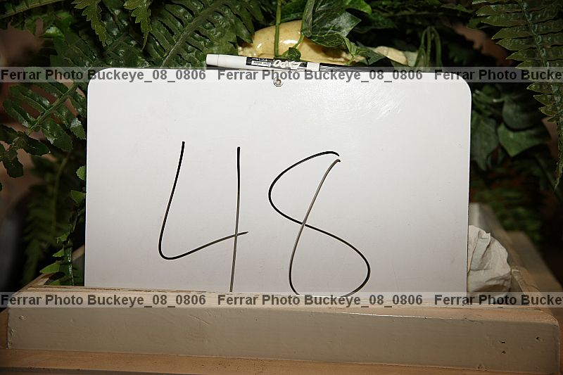 Proof buckeye_08_0806