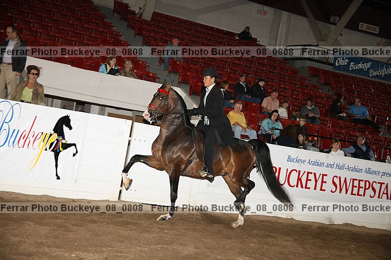 Proof buckeye_08_0808