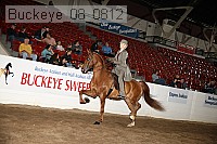 buckeye_08_0812 proof