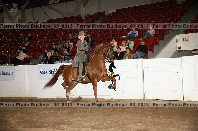 Proof buckeye_08_0813