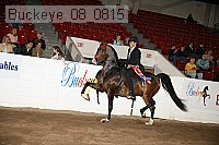 buckeye_08_0815 proof