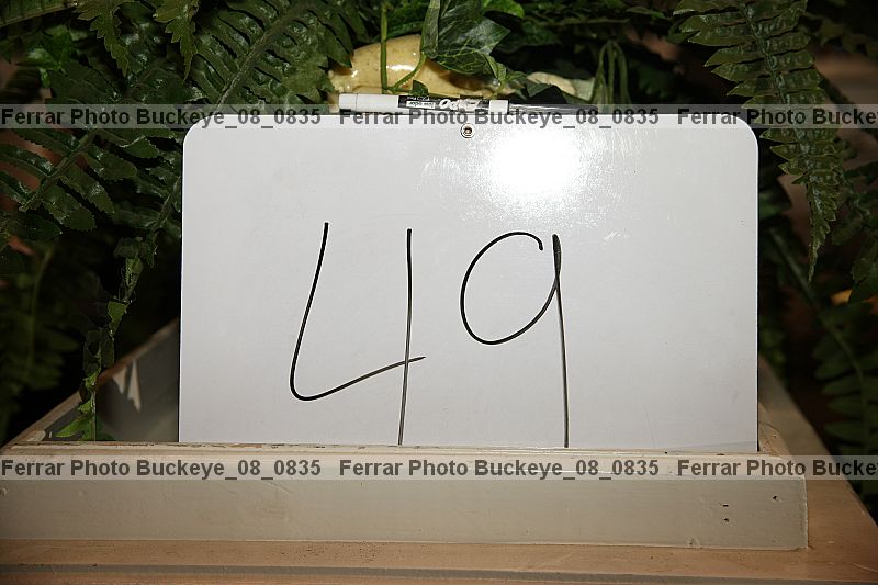 Proof buckeye_08_0835