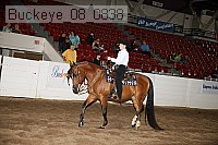 buckeye_08_0838 proof