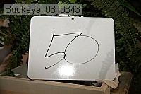 buckeye_08_0843 proof