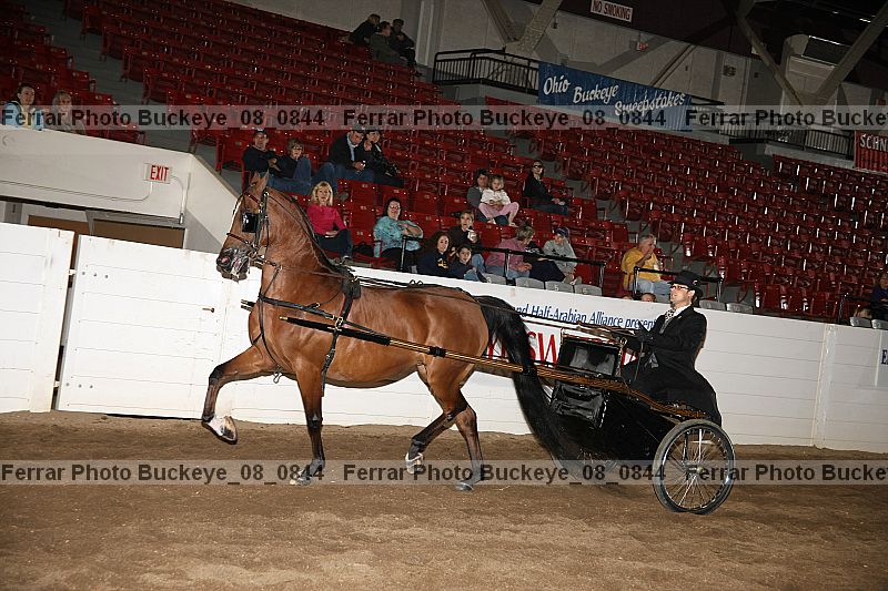 Proof buckeye_08_0844