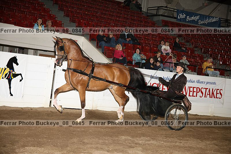 Proof buckeye_08_0845