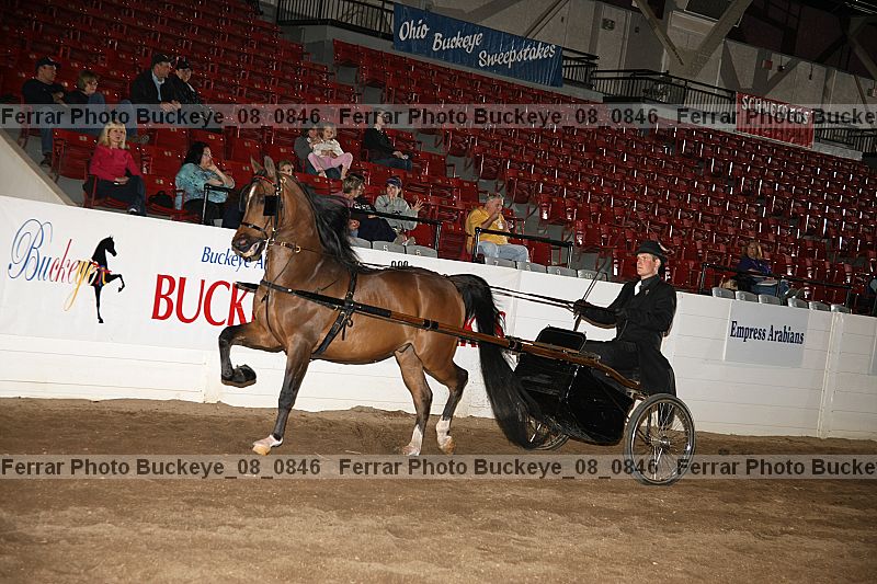 Proof buckeye_08_0846