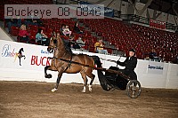 buckeye_08_0846 proof