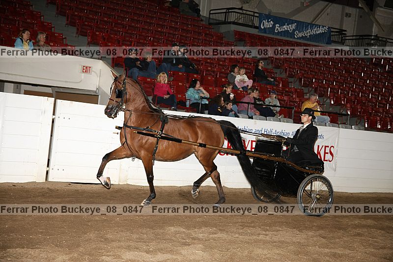 Proof buckeye_08_0847