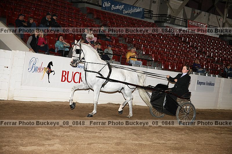 Proof buckeye_08_0848
