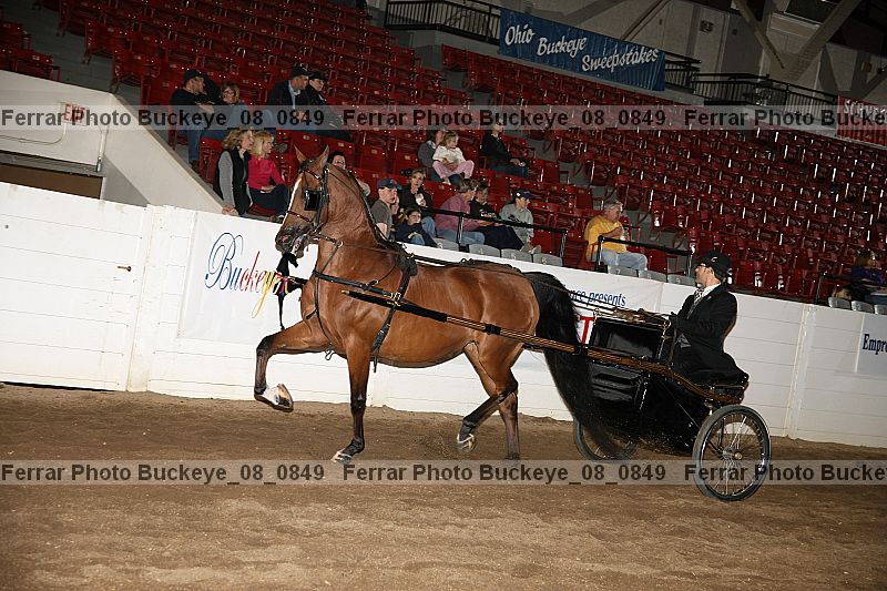 Proof buckeye_08_0849