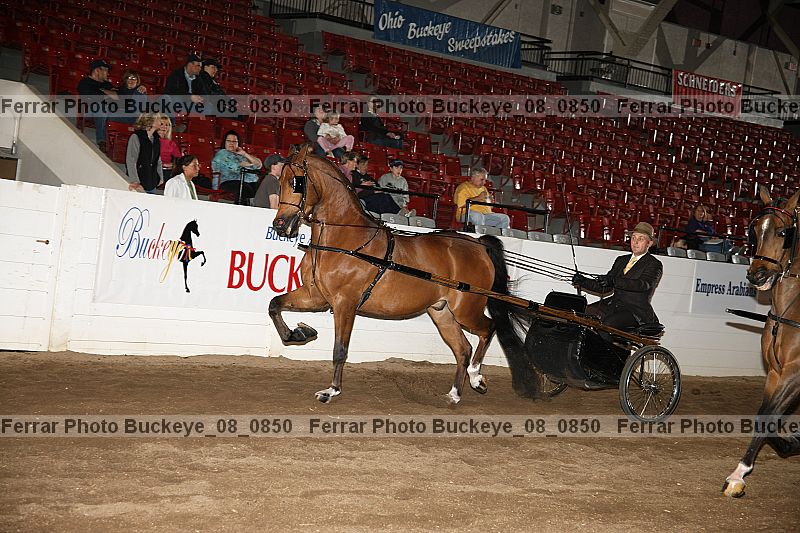 Proof buckeye_08_0850