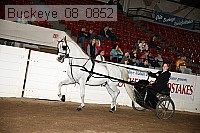 buckeye_08_0852 proof