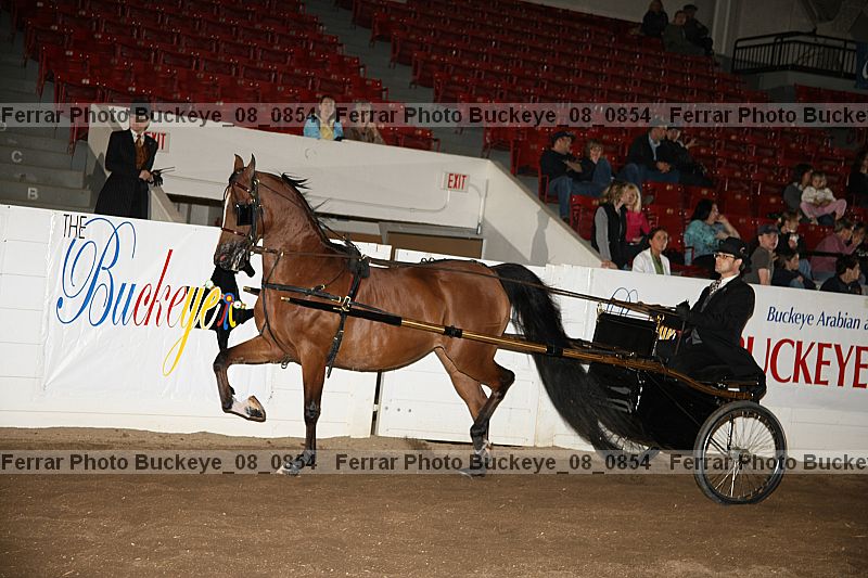 Proof buckeye_08_0854