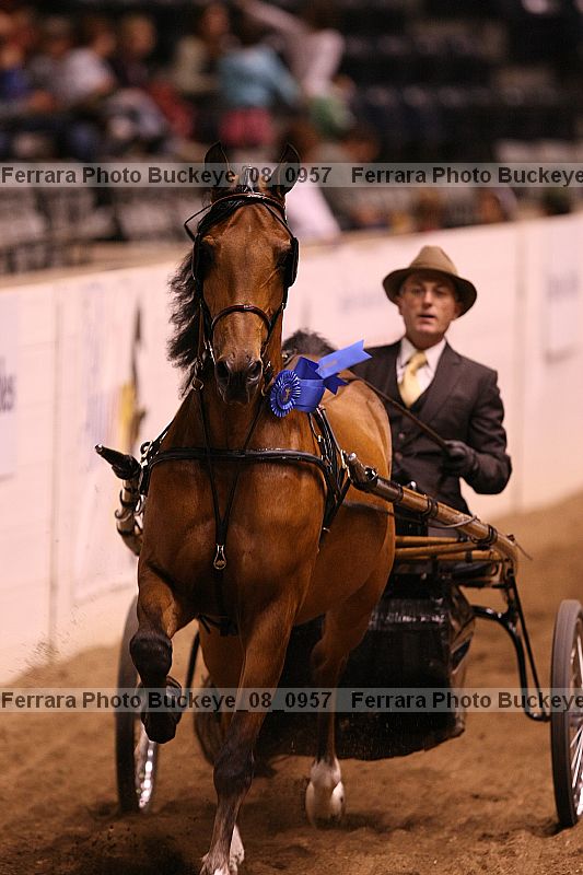 Proof buckeye_08_0957