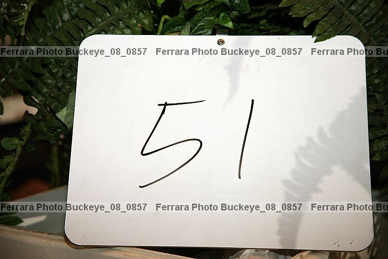 Proof buckeye_08_0857