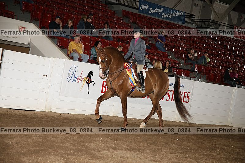 Proof buckeye_08_0864