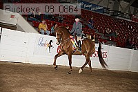 buckeye_08_0864 proof