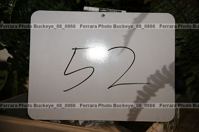 Proof buckeye_08_0866