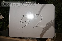 buckeye_08_0866 proof