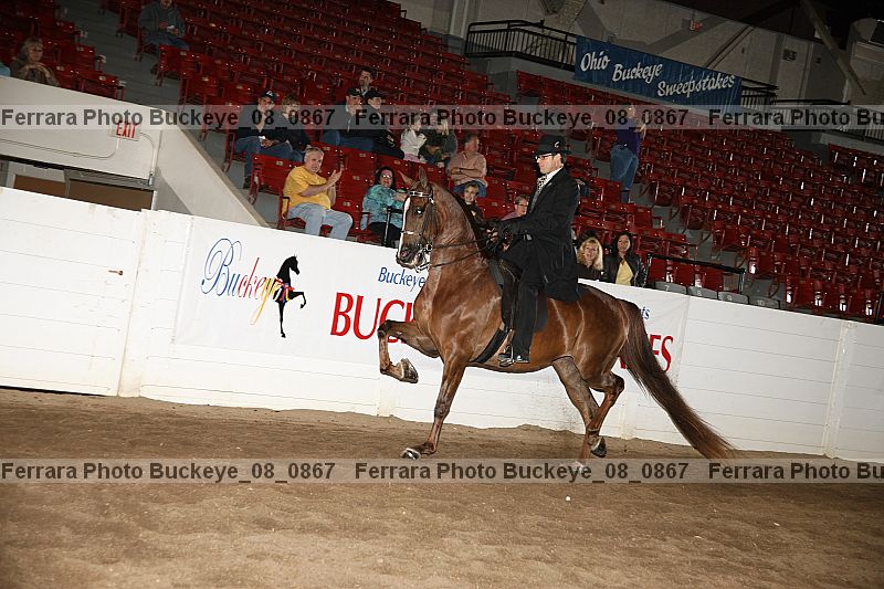 Proof buckeye_08_0867