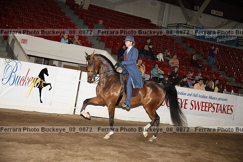 Proof buckeye_08_0872