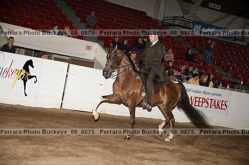 Proof buckeye_08_0875