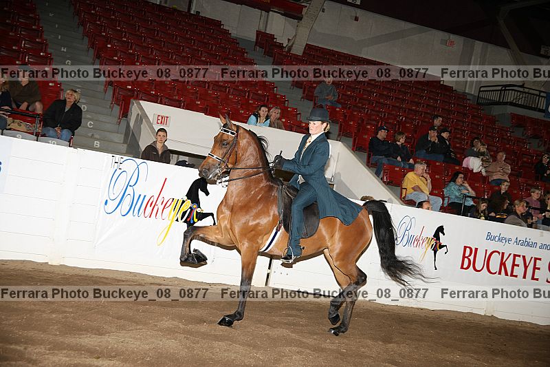 Proof buckeye_08_0877