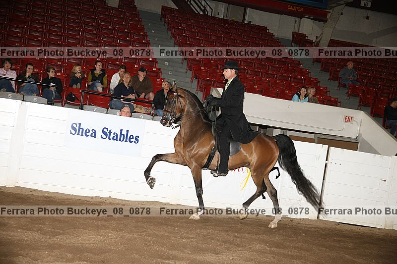 Proof buckeye_08_0878