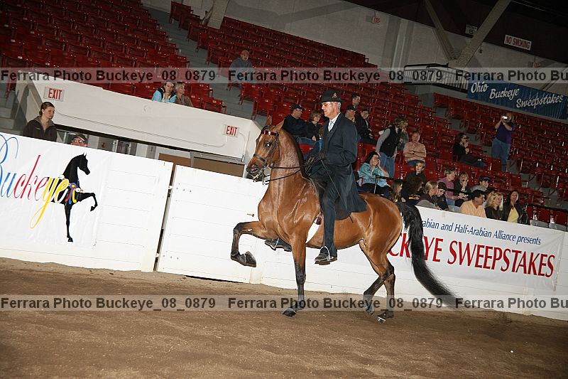 Proof buckeye_08_0879