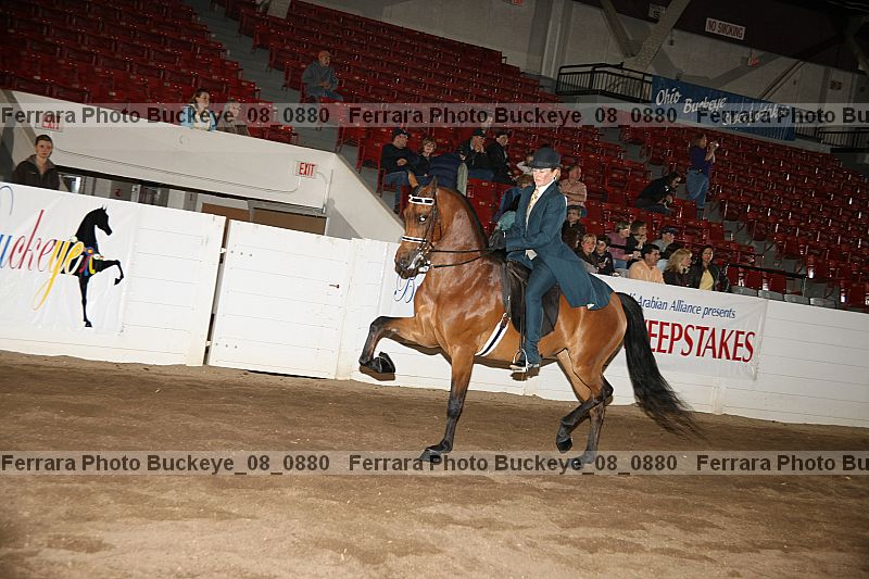 Proof buckeye_08_0880