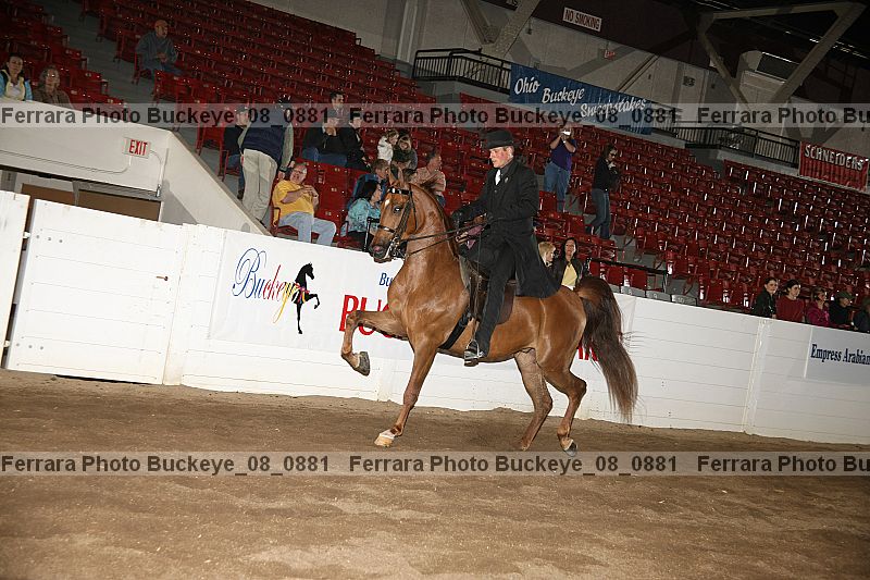 Proof buckeye_08_0881