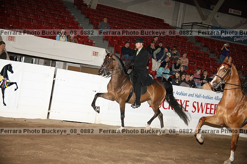 Proof buckeye_08_0882