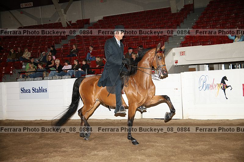 Proof buckeye_08_0884