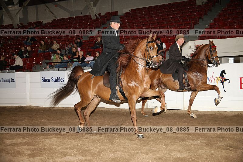 Proof buckeye_08_0885