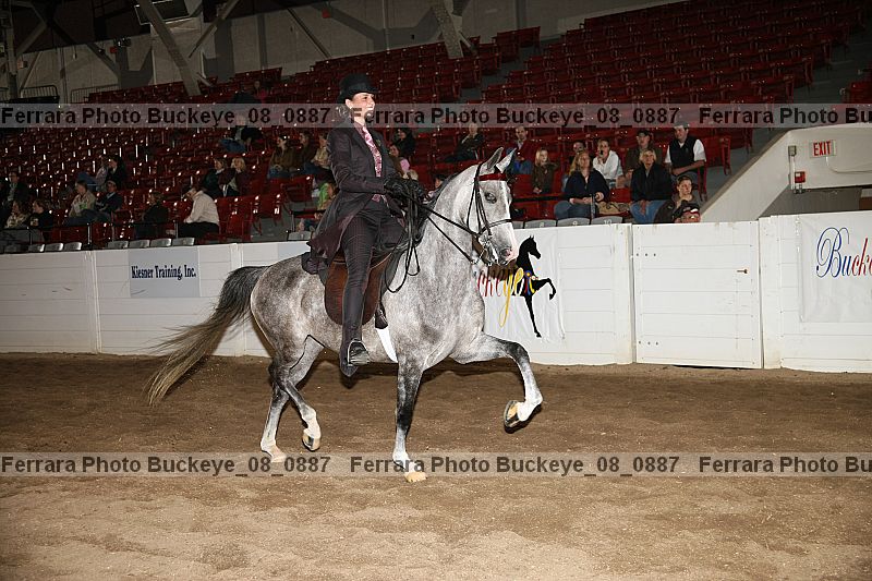 Proof buckeye_08_0887