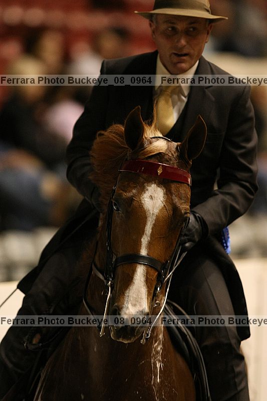 Proof buckeye_08_0964