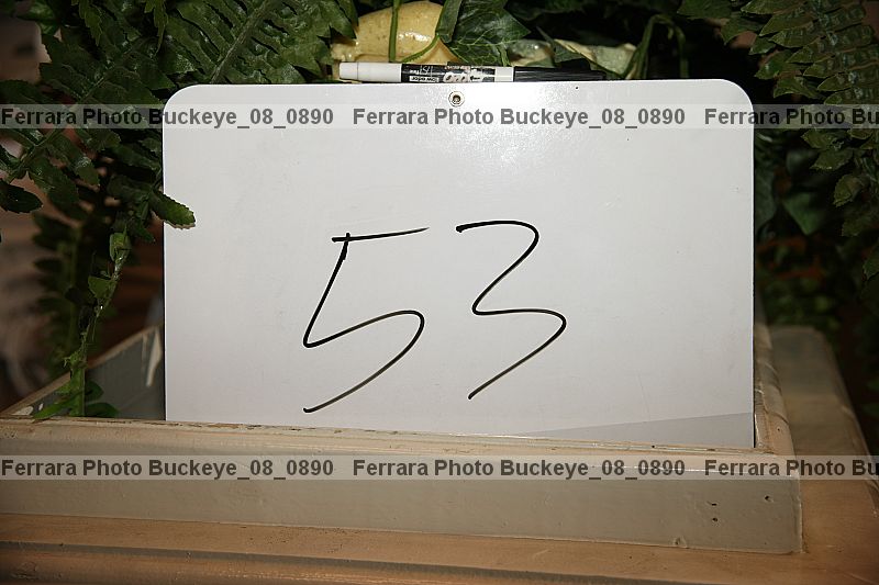 Proof buckeye_08_0890
