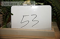 buckeye_08_0890 proof
