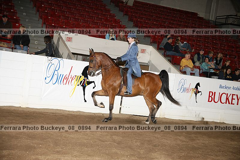 Proof buckeye_08_0894