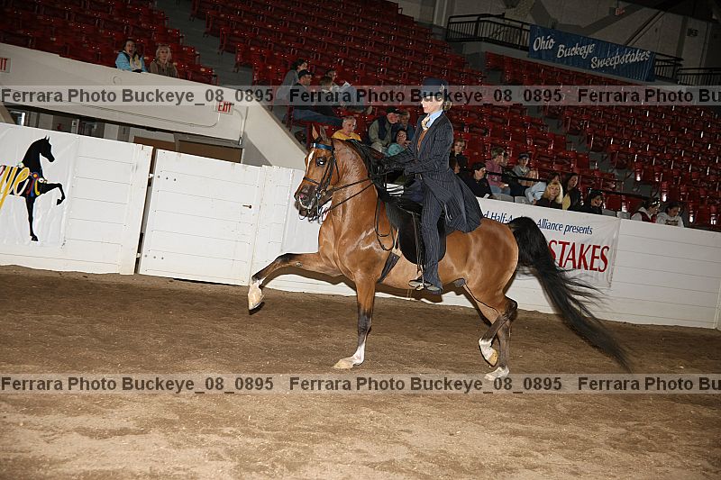 Proof buckeye_08_0895