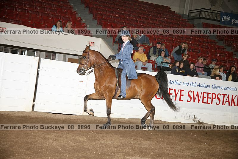 Proof buckeye_08_0896