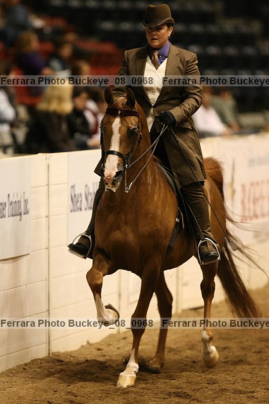 Proof buckeye_08_0968