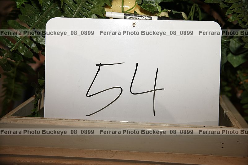 Proof buckeye_08_0899