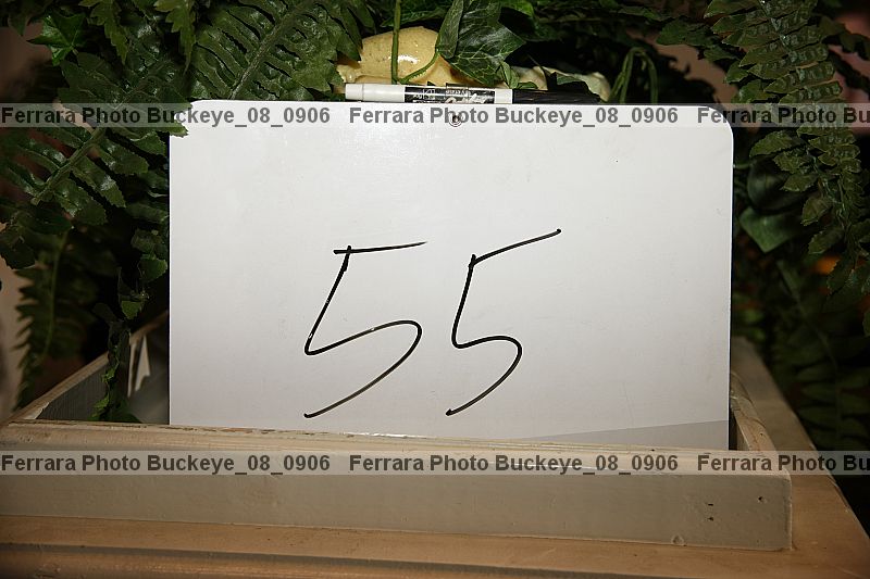 Proof buckeye_08_0906