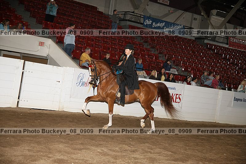 Proof buckeye_08_0909