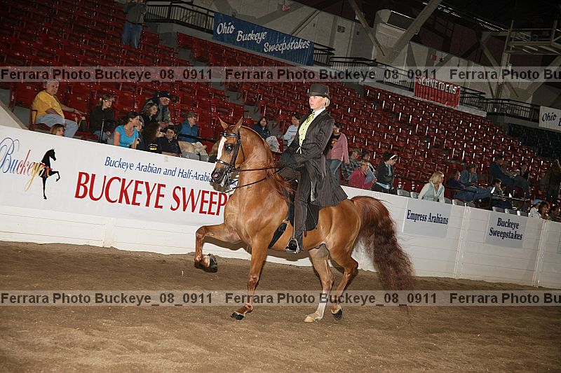 Proof buckeye_08_0911